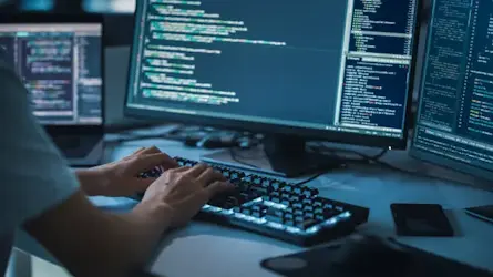 Sviluppo siti web